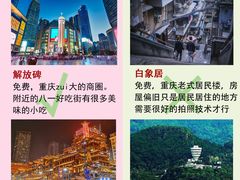 -李子坝梁山鸡(李子坝大鸡哥店)