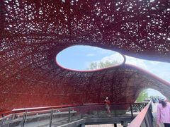 -东寨港红树林旅游区