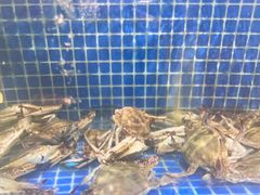 -海立阁海鲜江浙菜(漕河泾印象城店)