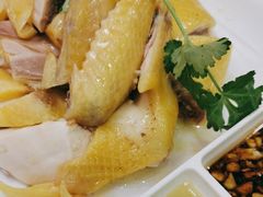 -巫记鸡饭店