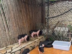 -HERRE·FARM 赫尔露营农场·团建聚会包场