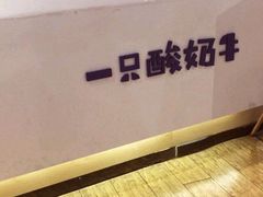 -一只酸奶牛(益州国际店)