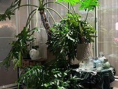 -Metal hands·铁手咖啡