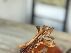 平菇-怪老头甜不辣(抚琴小区店)