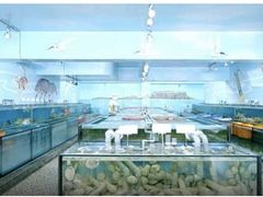 -海九澎湖海鲜餐厅