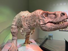 -香港科学馆