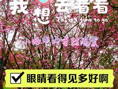 -上海市第一人民医院(松江南部)