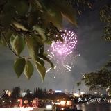 我是开始的时候听到声音循着找过去，现场人山人海