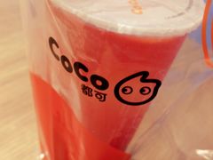 -CoCo都可(文星广场店)