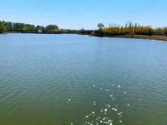 -东郊湿地公园