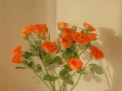 -方快-照相馆(金桥国际店)