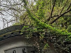 -绍兴鲁迅故里·沈园景区