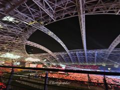 -中南南通体育会展中心