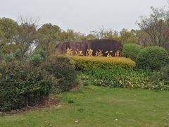 -新江湾城公园