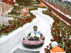-广州热雪奇迹
