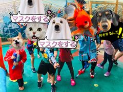 -亲育代幼儿园