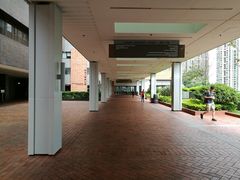 -香港大学