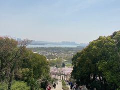 -苏州上方山国家森林公园