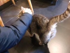 -天使咖啡(兴新街店)