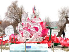 -长春市南湖公园