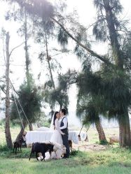 -巴黎婚纱摄影工作室