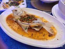 -武汉汉口喜来登大酒店·宴会厅