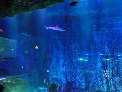 -沈阳海洋探索中心