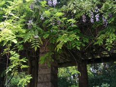 -宋庆龄陵园