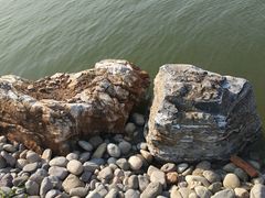 -天津东丽湖风景区