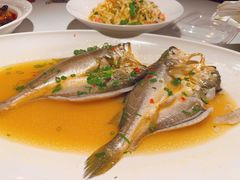 -宝轩渔府·老字号海鲜·正宗津菜(水上店)
