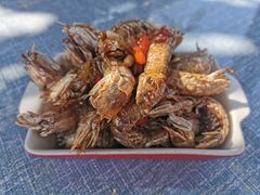 Y先生的皮皮虾(大份)-后海16号·北京私房菜