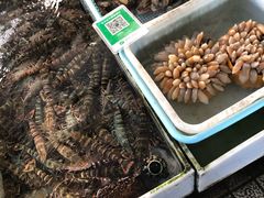 -南沙十九涌渔人码头-南门