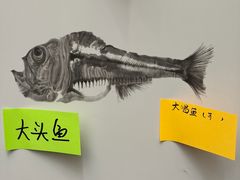 -江苏省美术馆(长江路新馆)