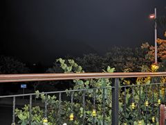 -君港海鲜(三亚湾店)