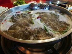 黑山羊火锅-羊肉大仙(金凯广场店)