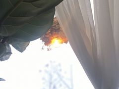 景观位-MOMENT湖景餐厅(解放路店)
