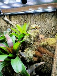 -酷嗒动物文化乐园(cutezoo西溪乐天城店)