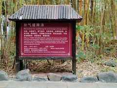 -森波拉火山温泉