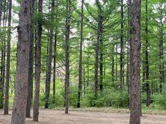 -长春市南湖公园