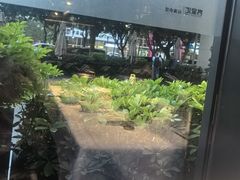 -客家汇·客家传承菜(水库店)
