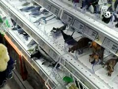 -TOYSRUS玩具反斗城(广州IGC天汇广场店)