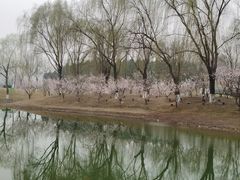 -河北省园博园