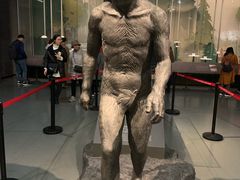 -陕西自然博物馆