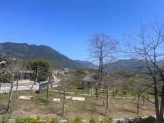-竹乡园柴火竹筒饭·烧鸡(白水寨*森林海店)