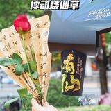 悸动好会｜买茶送花｜这个秋天的浪漫一秒get