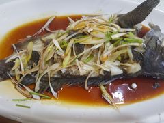 油泼黑头鱼-天伦海鲜·老味道·青岛菜(栈桥天主教堂店)