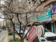 -沙市市中山公园
