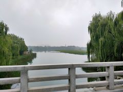 -大兴滨河森林公园