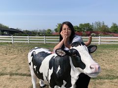 -杭州湾海上花田景区