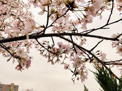 -堤角公园